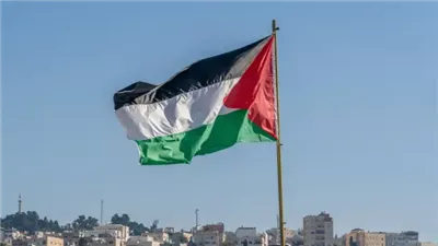 محلل سياسي ينتقد تحويل حرب الإبادة في فلسطين لقضية مساعدات إنسانية