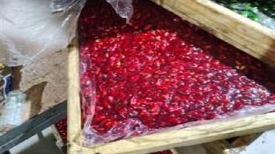 مضروبة.. ضبط كميات كبيرة من 