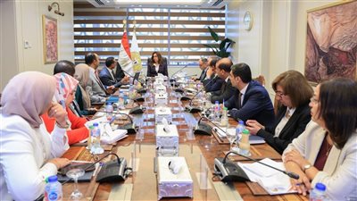 وزيرة التنمية المحلية تبحث مع وفد برنامج الأمم المتحدة مجالات التعاون