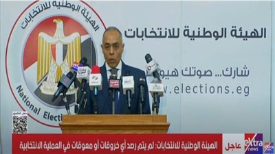 أحمد بنداري: عملية التصويت بالخارج تسير بانضباط كامل دون خروقات أو معوقات