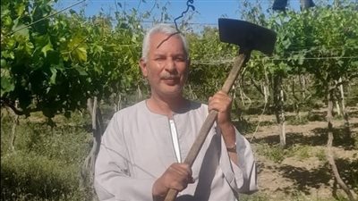 نقابة الفلاحين تطالب وزير الزراعة بصرف مستحقات مزارعي القصب المتأخرة