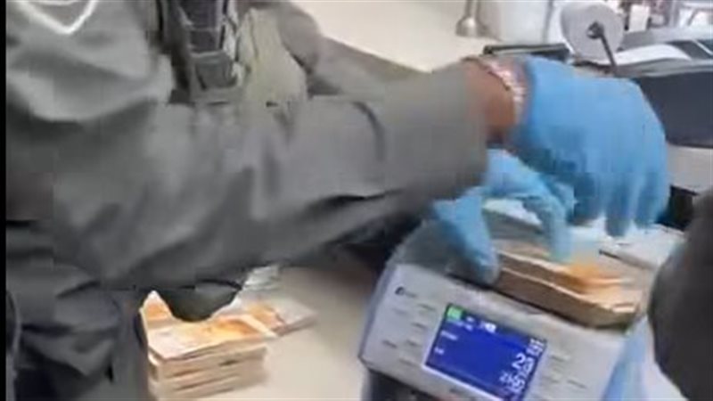 الاحتلال أثناء سطوه