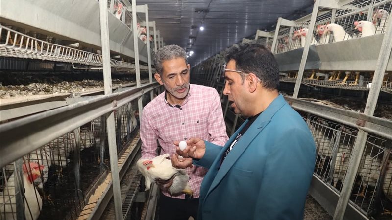مشروع الدواجن ببنى
