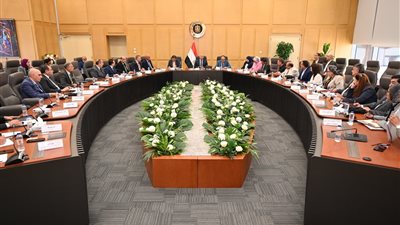 الوزير: خطط لتعزيز زراعة الكتان وتشجيع التصنيع المحلي وبدء إنتاج صيني 2026