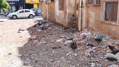 دمياط تواجه أزمة نظافة.. مساكن الشهداء نموذج لمعاناة الأهالي مع القمامة