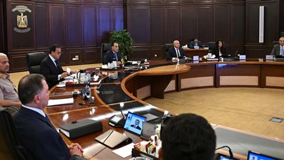 مصطفى مدبولي: تمت الموافقة على أسعار توريد محصول القمح لموسم 2025