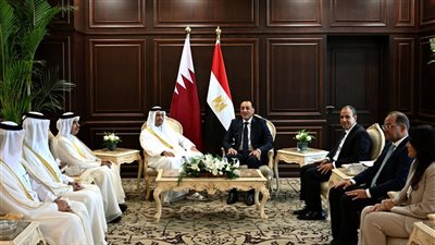 رئيس الوزراء يؤكد: ندعم الاستثمارات القطرية في مصر        