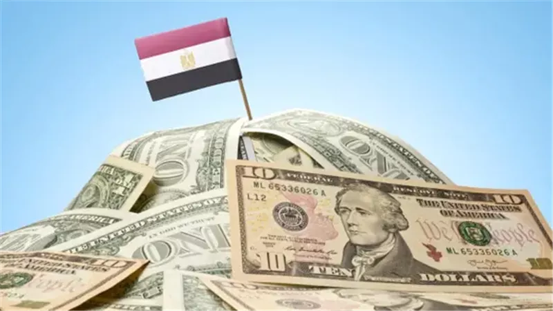 تحويلات المصريين