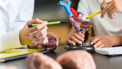 زراعة قلب جزئية تمنح أملاً جديداً للأطفال مرضى الصمامات