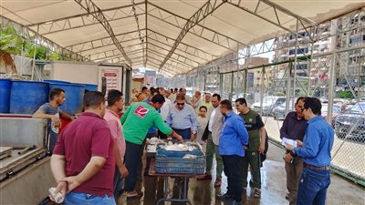 محافظ الدقهلية يتفقد سوق اليوم الواحد ويؤكد على الالتزام بالأسعار المخفضة 