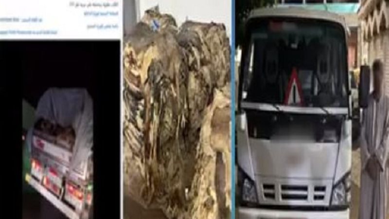 السائق والسيارة