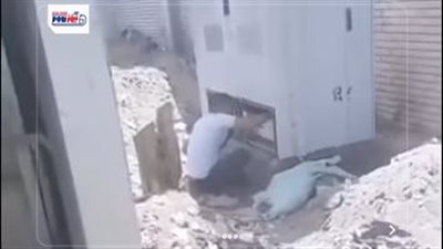 الأمن يفحص فيديو متداول يكشف قيام شخص بسرقة كابينة كهرباء 