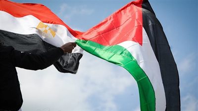 «الدويري»: مصر تنظر إلى المصلحة الفلسطينية كجزءً لا يتجزأ من أمنها القومي 