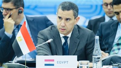 ممثل مصر في قمة العشرين: الأمن الغذائي والمائي تحديات مشتركة