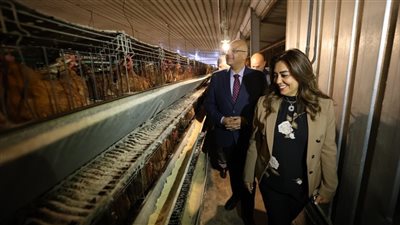 بدء إنتاج مشروع الـ 