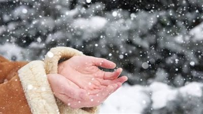 مجرد شائعات.. خبراء المناخ: شتاء مصر المقبل لن يشهد موجة برد شديدة |خاص