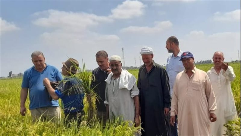 جانب من الأنشطة