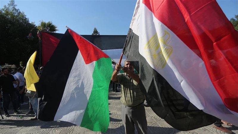 جهود مصر تجاه غزة