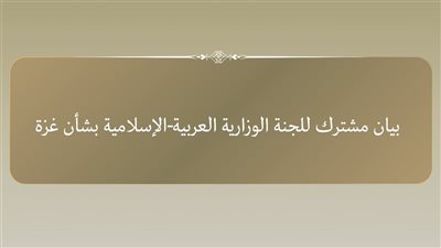 اللجنة الوزارية العربية الإسلامية بشأن تنتقد عدم منح تأشيرات للوفد الفلسطيني 