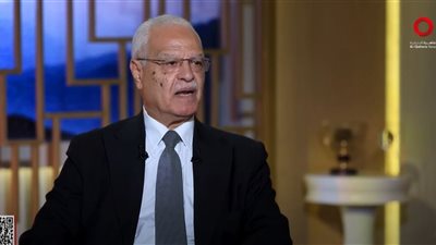 محمد الدويري: فلسطين جزء من أمن مصر القومي وإقامة الدولة مصلحة مشتركة|فيديو