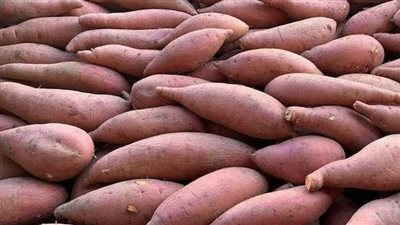 مذاق غني وسعر في المتناول.. وصفة البطاطا الحلوة باللبن والكريم كراميل