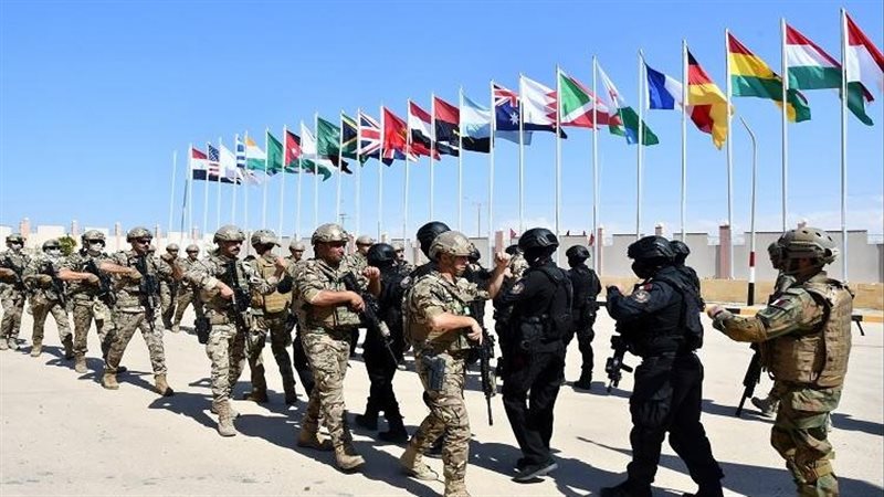 فعاليات التدريب المصري