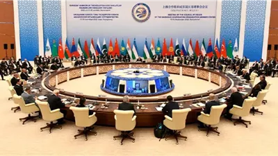 «قمة شنغهاي».. ليو شو: بكين تؤكد قدرتها على جمع الحلفاء وتعزيز الحوار