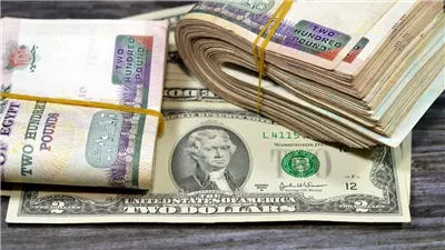  استقرار سعر الدولار مقابل الجنيه اليوم السبت في البنوك 