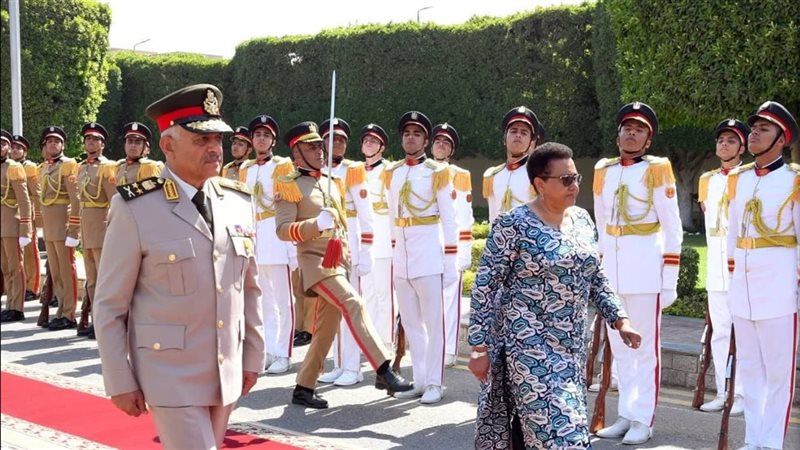 وزير الدفاع المصري