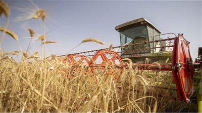 عمرو عابدين: 2% معدل نمو سكاني يشكل ضغطًا على الموارد الغذائية |فيديو