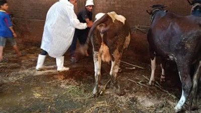 دمياط تواصل أعمال الحملة القومية للتحصين ضد الحمى القلاعية بالعترة الجديدة SAT