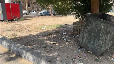 بعد نشر استغاثات من الأهالي خلف مدرسة الشهيد.. رفع مخلفات المدينة في قنا|صور