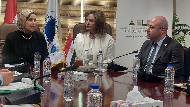 رشا عبدالعال رئيس