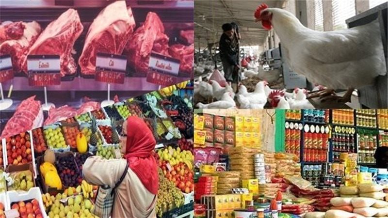 الألبان والدواجن