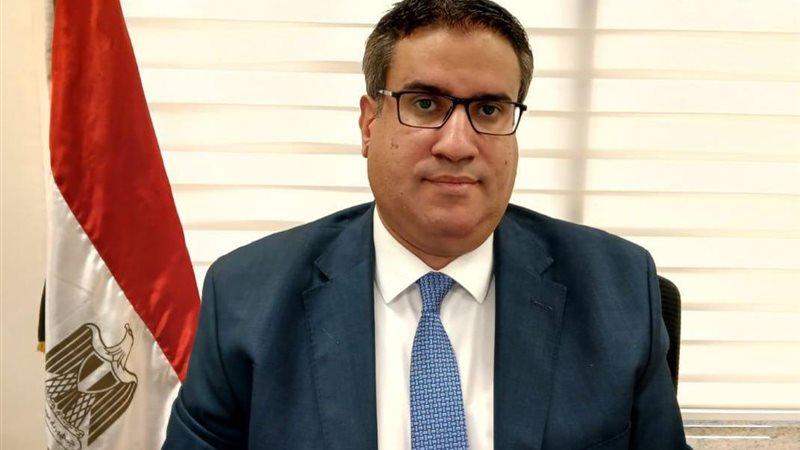 نائب رئيس مجلس إدارة