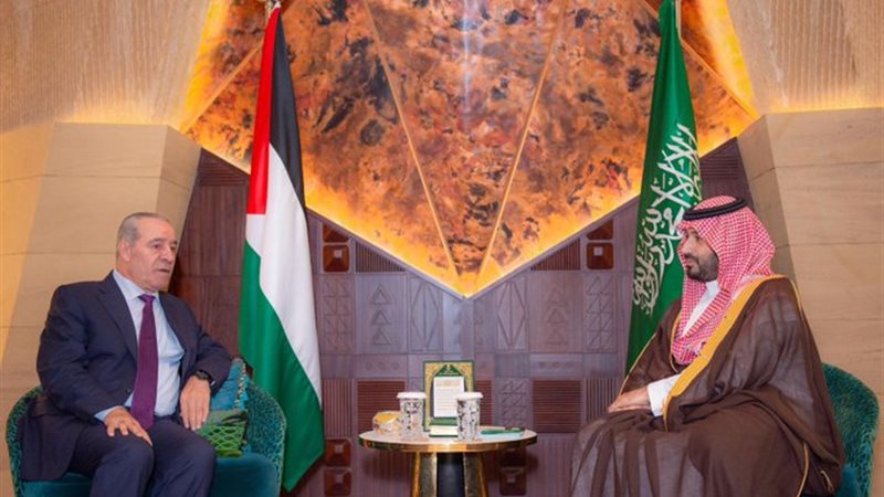 محمد بن سلمان ونائب