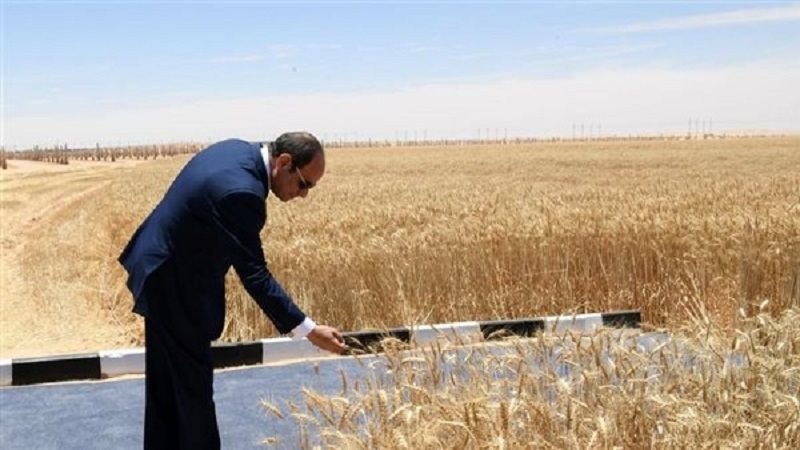 الرئيس السيسي - الطفرة