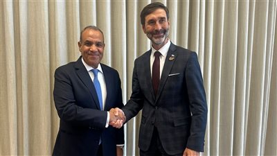 على هامش منتدى “بليد”.. وزير الخارجية يلتقي نظيره السلوفاكي