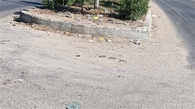 حملات تطهير ورفع مخلفات مكثفة في دمياط لمواجهة التلوث وانتشار الكلاب الضالة