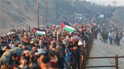 مصر ستظل سندًا للقضية| فضية سالم: تصريحات إسرائيل حول التهجير «مرفوضة»