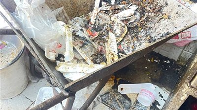 إعدام 370 كجم أغذية متنوعة والتوصية بالغلق الإداري ل 150 وغلق 13 منشأة بالسويس