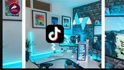 ماذا يفعل المصريون على الإنترنت؟.. 