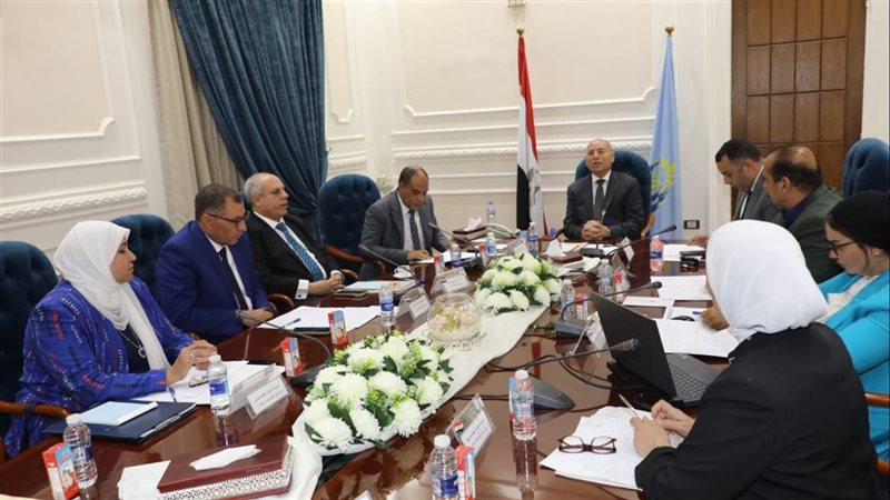 محافظ القاهرة