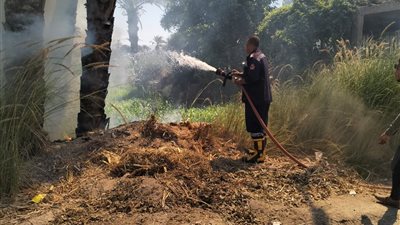 السيطرة على حريق بطريق سوهاج - أسيوط الزراعي دون إصابات