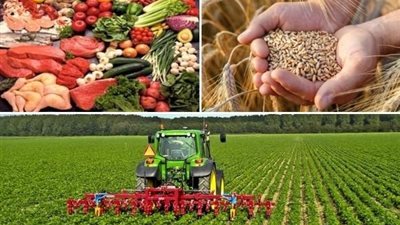 إبراهيم درويش: مصر جسر للتواصل بين الدول الكبرى والنامية لمواجهة أزمات الغذاء