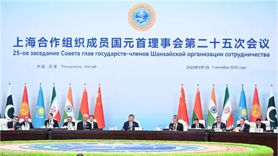 أستاذ علوم سياسية: منظمة «شنغهاي» تعيد تشكيل موازين القوى في العالم