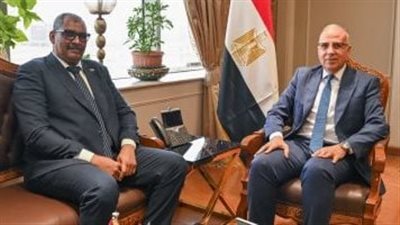 وزير الري يلتقي نظيره السوداني لبحث التعاون المشترك بين البلدين 