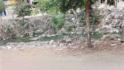 الأمراض محاصرانا.. أهالي دمياط يستغسثون من انتشار القمامة بترع طريق خمسة حديث 