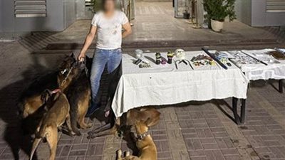 ضبط بلطجي متهم بالإتجار بالمخدرات وترهيب المواطنين بالكلاب الشرسة بمدينة نصر