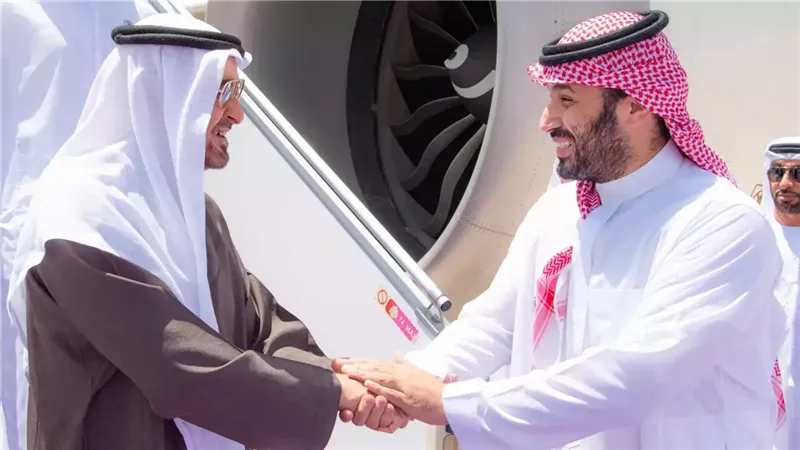 محمد بن زايد وولي